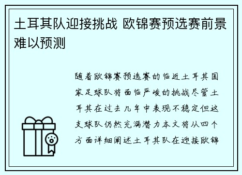 土耳其队迎接挑战 欧锦赛预选赛前景难以预测 土耳其队迎接挑战 欧锦赛预选赛前景难以预测