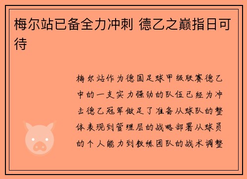 梅尔站已备全力冲刺 德乙之巅指日可待 梅尔站已备全力冲刺 德乙之巅指日可待